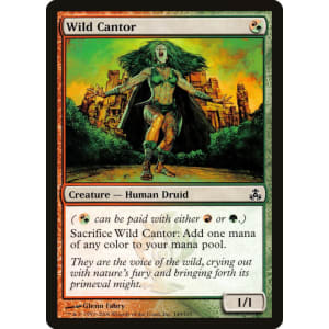 Wild Cantor