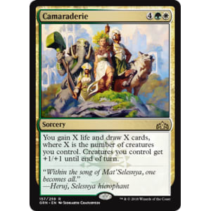 Camaraderie