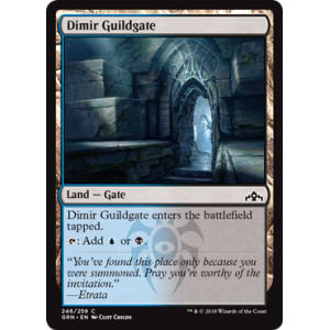 Dimir Guildgate