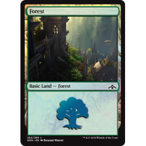 Forest