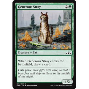 Generous Stray