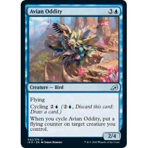 Avian Oddity