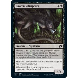Cavern Whisperer