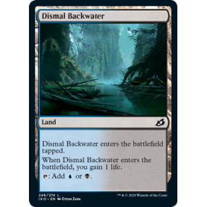 Dismal Backwater