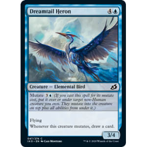 Dreamtail Heron