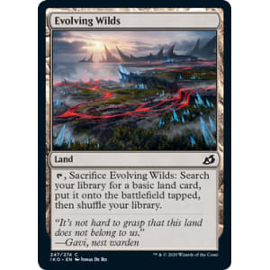 Evolving Wilds