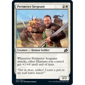 Perimeter Sergeant