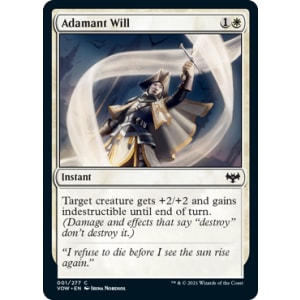 Adamant Will