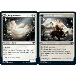 Kindly Ancestor // Ancestor's Embrace