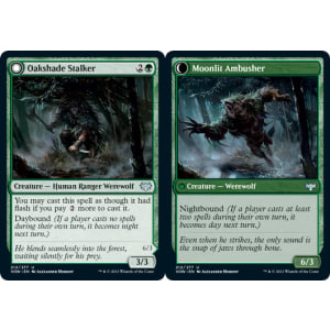 Oakshade Stalker // Moonlit Ambusher