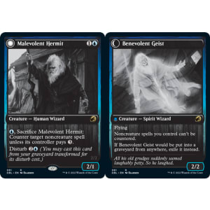 Malevolent Hermit // Benevolent Geist