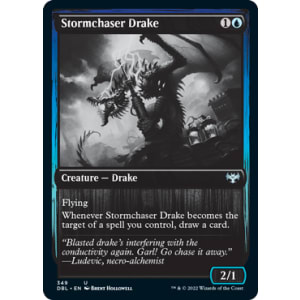 Stormchaser Drake