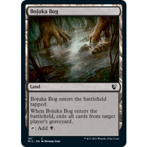 Bojuka Bog