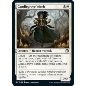 Candlegrove Witch