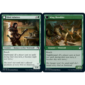 Bird Admirer // Wing Shredder