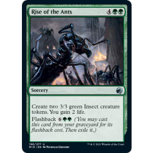 Rise of the Ants
