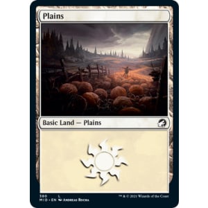 Plains