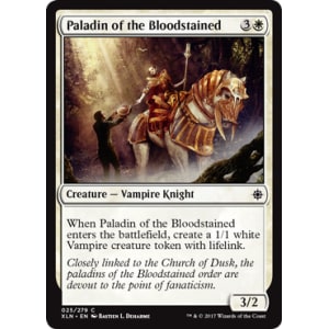 Paladin of the Bloodstained