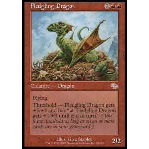 Fledgling Dragon