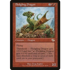Fledgling Dragon