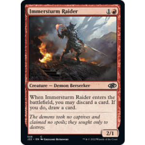 Immersturm Raider