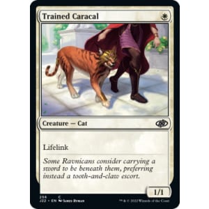 Trained Caracal