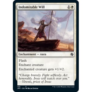 Indomitable Will