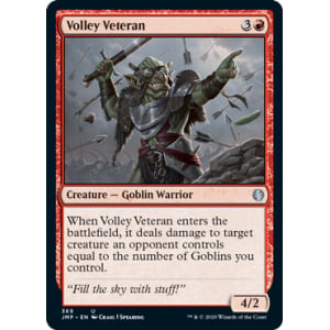 Volley Veteran