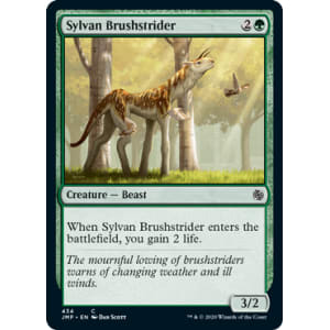 Sylvan Brushstrider