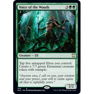 Voice of the Woods