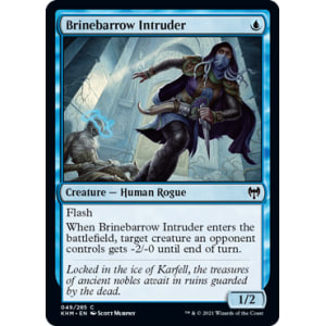 Brinebarrow Intruder