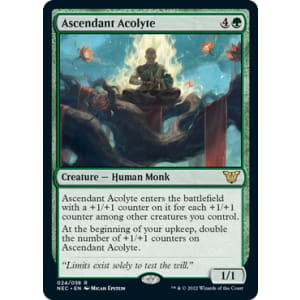 Ascendant Acolyte