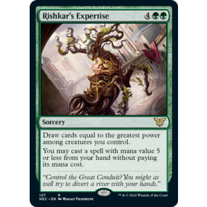 Rishkar's Expertise