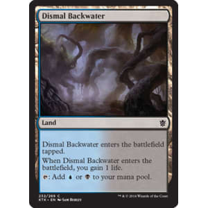 Dismal Backwater