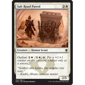 Salt Road Patrol