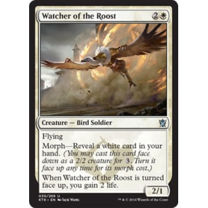 Watcher of the Roost