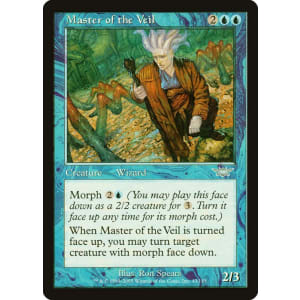 Master of the Veil