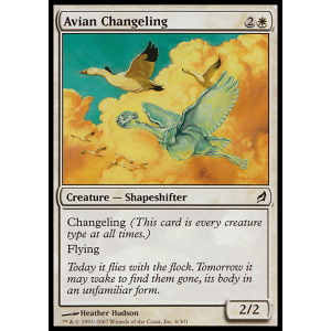 Avian Changeling