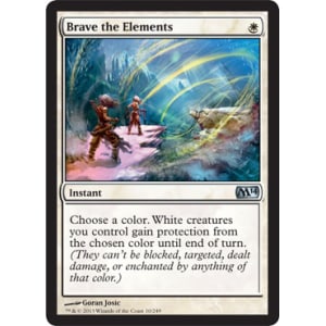 Brave the Elements