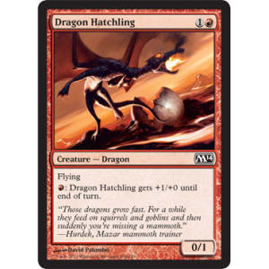 Dragon Hatchling