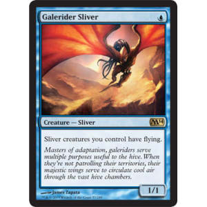 Galerider Sliver