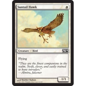 Suntail Hawk