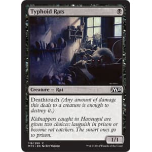 Typhoid Rats