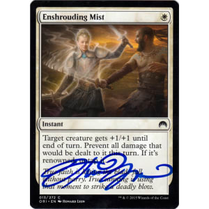 Enshrouding Mist Signed by Howard Lyon