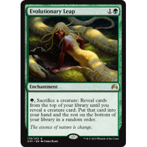 Evolutionary Leap
