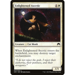Enlightened Ascetic