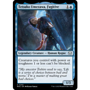 Tetsuko Umezawa, Fugitive