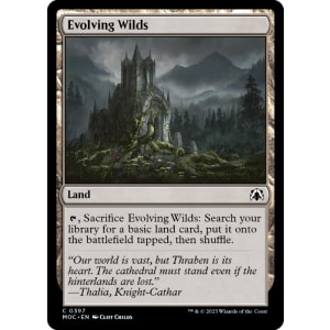 Evolving Wilds