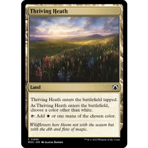 Thriving Heath