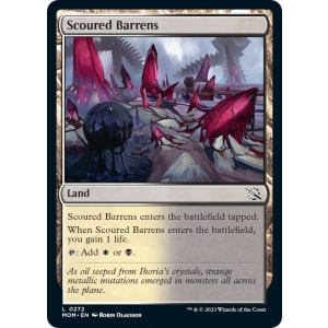 Scoured Barrens